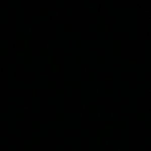 Meet your Posher, Cielo